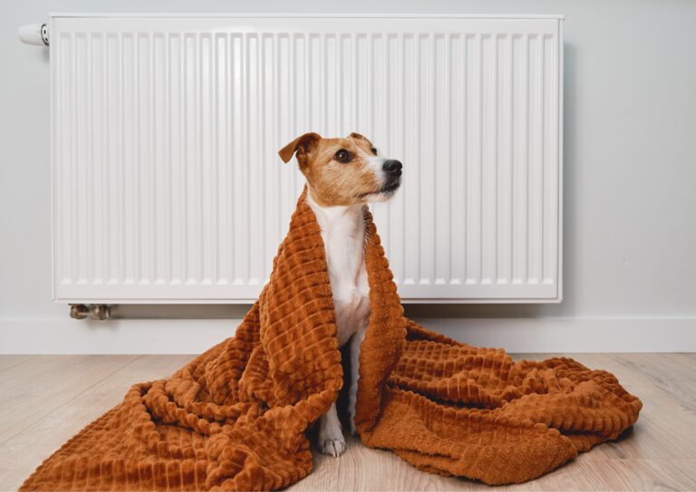 How to Save Money on Your Heating Bills This Winter